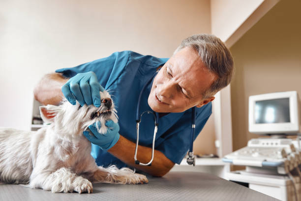 Best Emergency Dentist for Special Needs Patients in Sutter, CA
